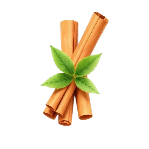 Ceylon Cinnamon illustration