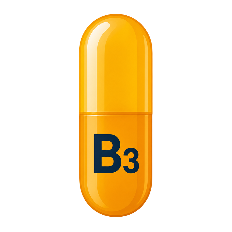 Vitamin B3 (Niacin) illustration